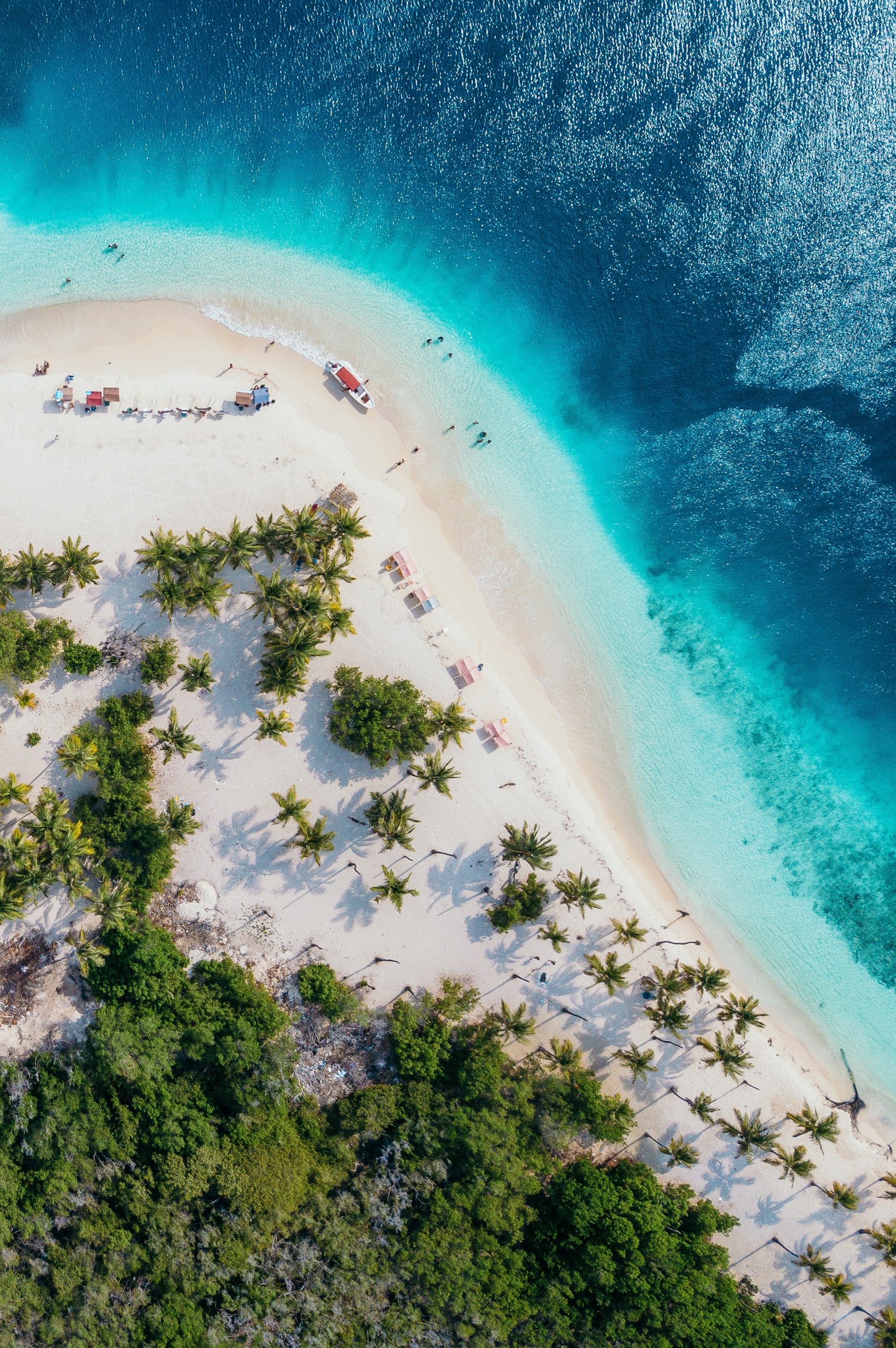 lalo-hernandez-Amo081zdJsI-unsplash lalo-hernandez-Amo081zdJsI-unsplash